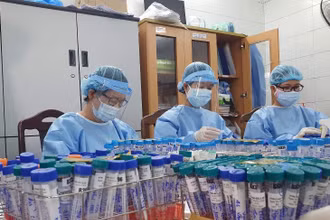 11 mẫu xét nghiệm SARS-CoV-2 tại các ổ dịch Đà Nẵng có nguồn gốc chủng virus Anh.