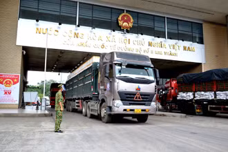 Xe ô-tô chở vải tươi qua Cửa khẩu Kim Thành xuất khẩu sang Trung Quốc.
