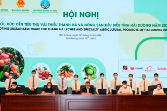Các sàn thương mại điện tử ký thỏa thuận hợp tác với các doanh nghiệp sản xuất, thu mua chế biến nông sản.