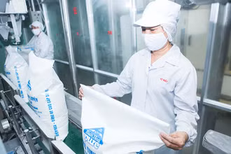 Quyết định 477 đã tác động tích cực đến ngành mía đường trong nước.