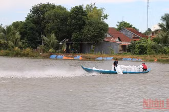 Vùng nuôi cá tra tại huyện Hồng Ngự, tỉnh Đồng Tháp.