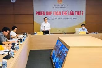 Chủ nhiệm Ủy ban Pháp luật của Quốc hội Hoàng Thanh Tùng phát biểu tại phiên họp.