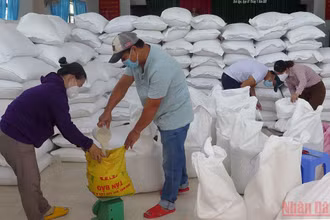 Các địa phương trên địa bàn tỉnh Phú Yên đã hoàn thành việc cấp phát đủ số lượng gạo hỗ trợ của Chính phủ đến người dân gặp khó khăn do đại dịch Covid-19.