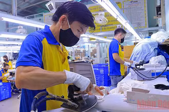 Lao động trẻ đang rất cần sự hỗ trợ, kết nối trong bối cảnh dịch bệnh hiện nay.
