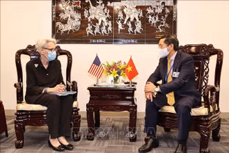 Bộ trưởng Ngoại giao Bùi Thanh Sơn tiếp Thứ trưởng Ngoại giao Mỹ Wendy Sherman. (Ảnh: TTXVN)