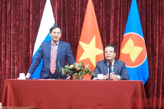 Bộ trưởng Ngoại giao Việt Nam Bùi Thanh Sơn thông tin về tình hình trong nước. (Ảnh: QUẾ ANH)