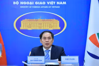 Bộ trưởng Ngoại giao Bùi Thanh Sơn. (Ảnh: Báo Thế giới và Việt Nam)