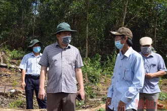 Chủ tịch UBND tỉnh Phú Yên Trần Hữu Thế kiểm tra, chỉ đạo xử lý hành vi phá rừng tại hiện trường khu vực rừng phòng hộ đầu nguồn tại xã Sơn Hội đã được Báo Nhân Dân phản ánh.