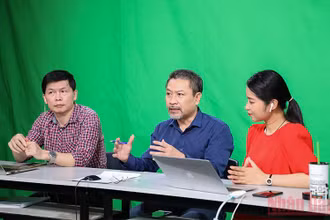 Các chuyên gia thảo luận về nghiệp vụ sư phạm trong dạy học trực tuyến ở tiểu học. 