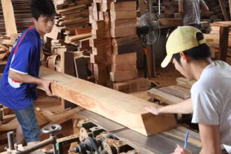 Khát nguồn cung gỗ nguyên liệu cho xuất khẩu.