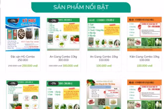 Giao diện trang web đặt mua các túi Combo nông sản.