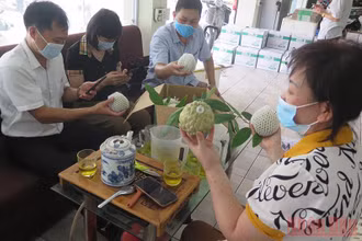 Các thành viên Hợp tác xã nông sản Chi Lăng đóng gói na giao cho khách hàng.