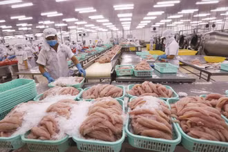 Những ảnh hưởng của dịch Covid-19 gây ra tổn thương nặng nề cho nền kinh tế trong đó có ngành nông nghiệp.
