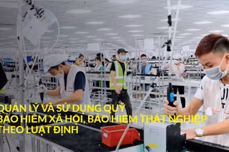 Quản lý và sử dụng quỹ bảo hiểm xã hội, bảo hiểm thất nghiệp theo luật định