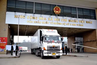 Xuất khẩu chuối quả tươi sang Trung Quốc, qua Cửa khẩu đường bộ Kim Thành (Lào Cai).