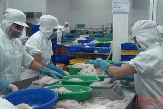 14 Hiệp hội doanh nghiệp đại diện cho cộng đồng doanh nghiệp Viêt Nam gửi kiến nghị đến Thủ tướng.
