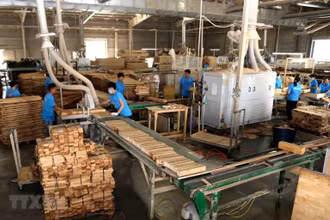 Tám tháng đầu năm 2021, xuất khẩu gỗ và lâm sản ước đạt 11,2 tỷ USD, tăng 42,7% so với cùng kỳ năm 2020. (ảnh TTXVN)