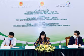 Các đại biểu Việt Nam dự hội thảo.