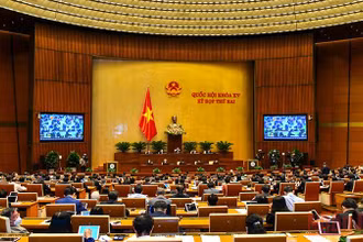 Quang cảnh phiên thảo luận tại hội trường sáng 8/11. Ảnh: LINH NGUYÊN