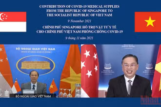 Lễ bàn giao tượng trưng vật tư, y tế phòng, chống Covid-19 của Singapore hỗ trợ Việt Nam. (Ảnh: Bộ Ngoại giao)