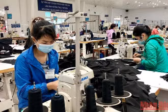 Sản xuất tại Công ty TNHH May mặc An Thắng, huyện Đông Anh, Hà Nội. (Ảnh: NGUYÊN TRANG)