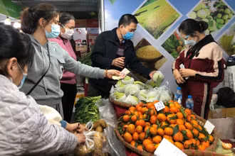Người tiêu dùng tìm mua các sản phẩm của tỉnh Sơn La tại Tuần hàng trái cây, nông sản các tỉnh, thành phố tại Hà Nội năm 2021.