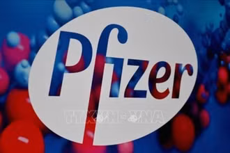Biểu tượng hãng dược phẩm Pfizer (Mỹ). (Ảnh: Bloomberg/TTXVN)