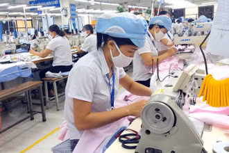 Trong bối cảnh đại dịch, việc thu thập, nắm bắt thông tin thị trường lao động, cũng như tình hình lao động, việc làm, cung - cầu lao động là rất cần thiết. (Ảnh minh họa)