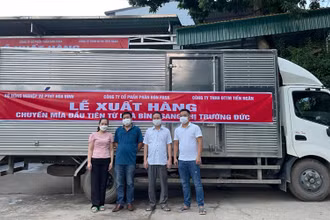 Đại diện ngành nông nghiệp tỉnh Hòa Bình và các doanh nghiệp xuất nhập khẩu tại lễ xuất lô mía đầu tiên sang Đức.