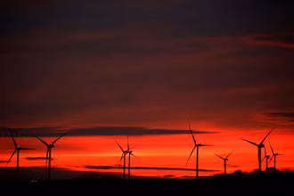 Các turbine điện gió lúc hoàng hôn tại Pháp. Ảnh: Reuters.