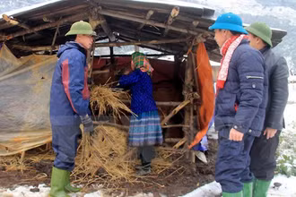 Tăng cường các biện pháp phòng, chống rét cho vật nuôi. (Ảnh minh họa)