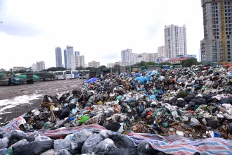 Khu đất thuộc dự án Khu đô thị mới Cầu Giấy (phường Yên Hòa) biến thành một bãi rác thải lớn.