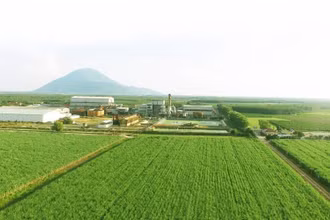 Tiềm năng từ năng lượng tái tạo trong phát triển bền vững mía đường.