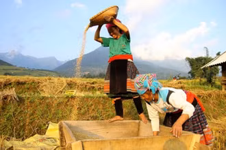 Phụ nữ xã Mường Phăng, Điện Biên tích cực lao động sản xuất, góp phần nâng cao chất lượng cuộc sống, xây dựng nông thôn mới. (Ảnh: NDCT)