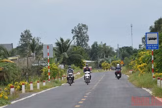 Tuyến lộ nông thôn được trồng hoa 2 bên đường ở xã Mỹ Đông.