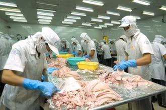 Dự báo xuất khẩu mực, bạch tuộc trong cả năm 2021 dự kiến đạt hơn 590 triệu USD, tăng 13% so với năm 2020.