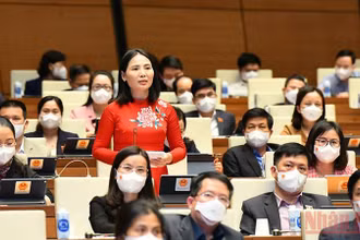 Đại biểu Quốc hội Âu Thị Mai (Tuyên Quang) chất vấn Bộ trưởng Kế hoạch và đầu tư về giải pháp thúc đẩy nhanh tiến độ giải ngân vốn đầu tư công. Ảnh: LINH NGUYÊN