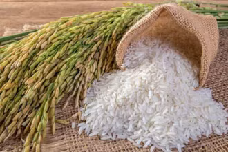 Ảnh minh họa. (Ảnh: Fresh News).