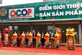 Cắt băng khai trương Điểm Giới thiệu, quảng bá và bán sản phẩm OCOP trên địa bàn huyện Thường Tín, Hà Nội.