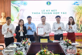 Thông qua thoả thuận được ký kết, các bên sẽ cùng đẩy mạnh phát triển mã số vùng trồng, nhân rộng các mô hình sử dụng phân bón, thuốc bảo vệ thực vật tiết kiệm, hiệu quả đối với các loại cây trồng chủ lực.