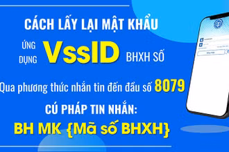 Cấp lại mật khẩu đăng nhập VssID qua đầu số 8079