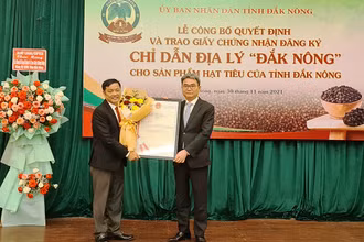 Lãnh đạo Cục Sở hữu trí tuệ trao Giấy chứng nhận đăng ký chỉ dẫn địa lý cho sản phẩm hạt tiêu Đắk Nông.