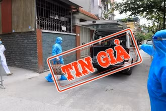 (Ảnh minh họa: TTXVN)