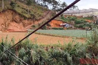 Khu vực xảy ra vụ việc.