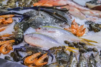 Bắc Kinh ngừng bán lẻ hải sản tại chợ đầu mối