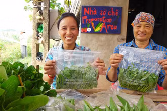 Tổ chức Rikolto của Bỉ hợp tác với các đối tác, tổ chức trong nước giúp nông dân xây dựng năng lực sản xuất và quảng bá rau an toàn (Ảnh minh họa: Rikolto Việt Nam).
