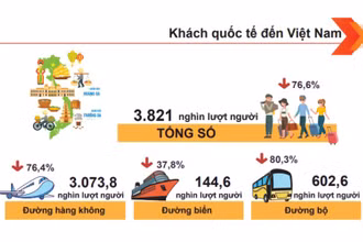 (Ảnh đồ họa: Tổng cục Thống kê)