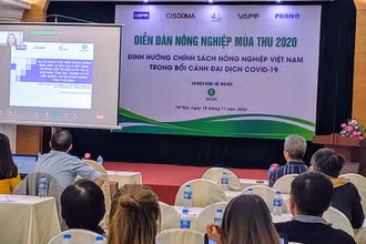Định hướng chính sách nông nghiệp Việt Nam trong bối cảnh dịch Covid-19