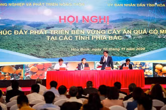 Hội nghị thu hút đông đảo các doanh nghiệp trong ngành nông nghiệp các tỉnh phía bắc tham gia.