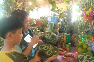 Nhiều gian hàng trái cây ngon, độc, lạ được trưng bày tại Ngày hội.